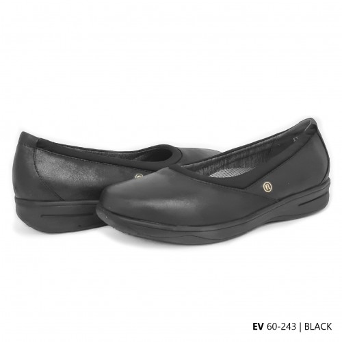 D243 Model  EV 60-243 