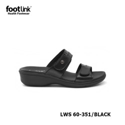 D351 Model LWS 60-351    