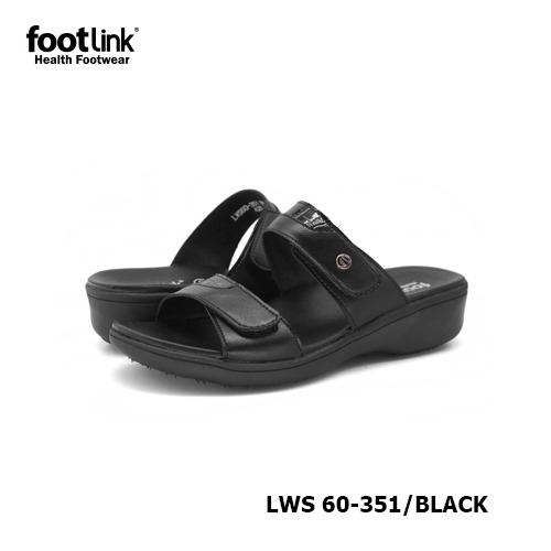 D351 Model LWS 60-351    