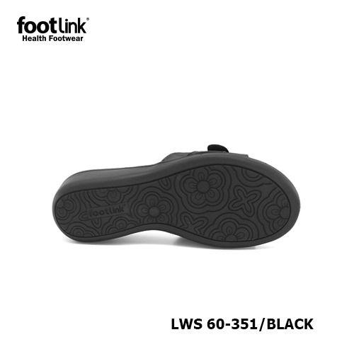 D351 Model LWS 60-351    