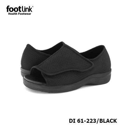 D223 Model DI 61-223