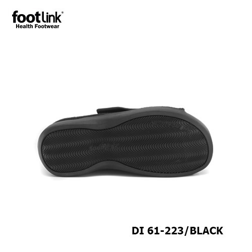 D223 Model DI 61-223