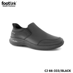 D333 Model CJ 66-333